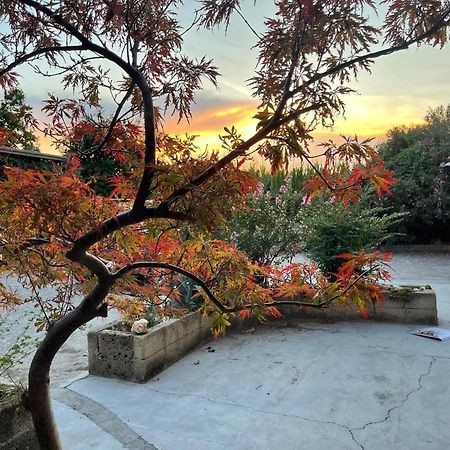 B&B La Cascina Di Alice Castiglione Delle Stiviere Dış mekan fotoğraf